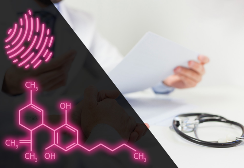 Medical vs Personal/Recreational CBD Use in Yarmouth, Maine