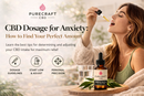 CBD Dosage for Anxiety: How to Find Your Perfect Amount