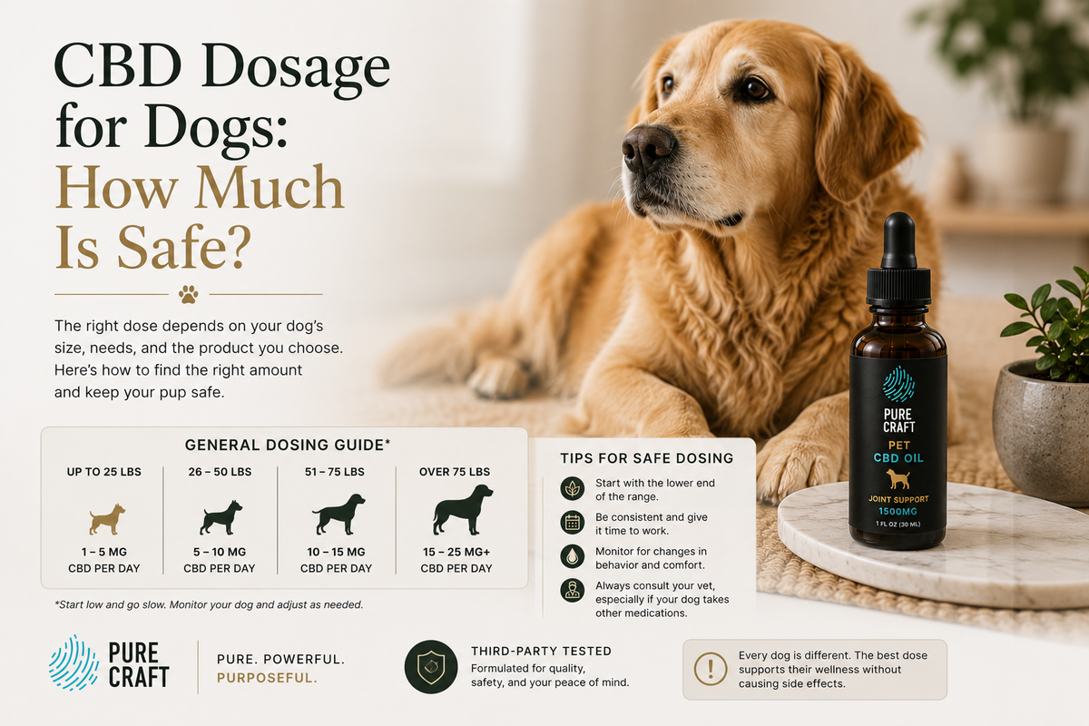 CBD Dosage for Dogs: How Much Is Safe? | PureCraft CBD