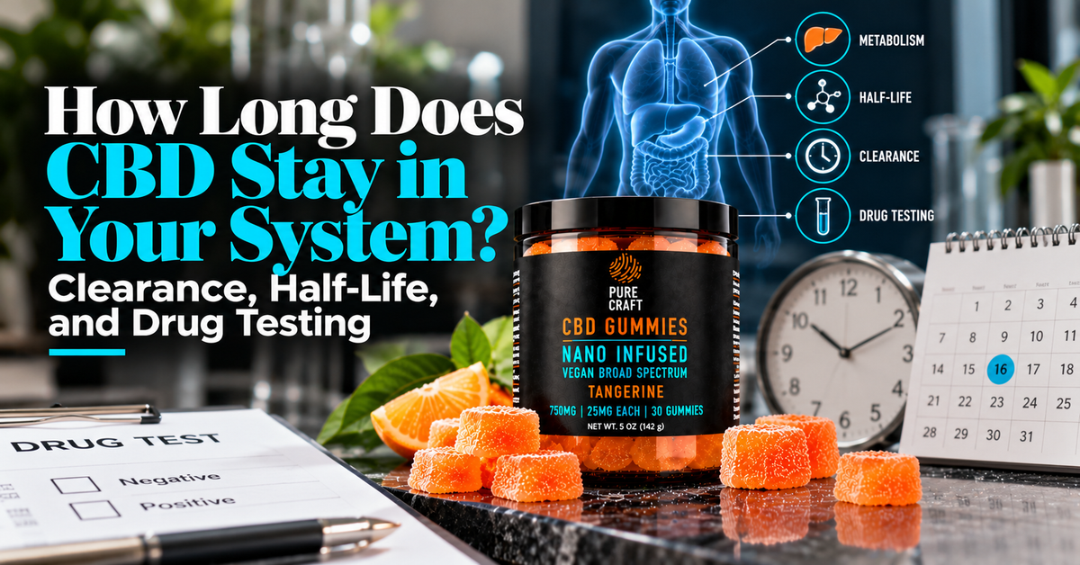 How Long Does CBD Stay in Your System? Clearance, Half-Life, and Drug Testing