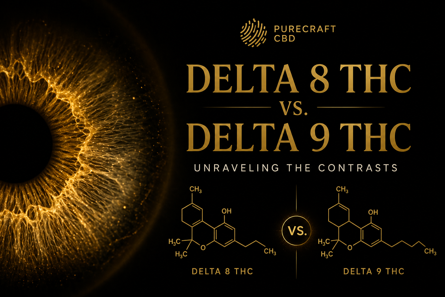 Delta 8 vs. Delta 9 THC: Key Differences, Effects & Which Is Right for You