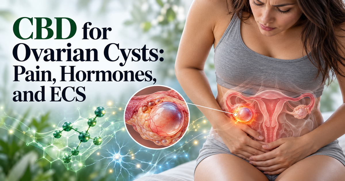 CBD for Ovarian Cysts: Pain, Hormones, and ECS | PureCraft CBD