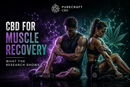 CBD for Muscle Recovery: What the Research Shows | PureCraft CBD