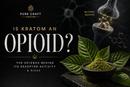 Is Kratom an Opioid? The Science Behind Its Receptor Activity & Risks