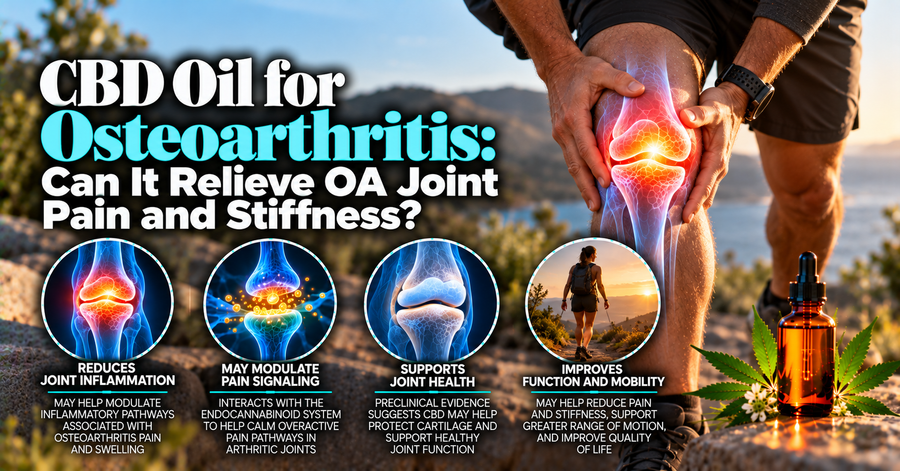 CBD Oil for Osteoarthritis: Can It Relieve OA Joint Pain and Stiffness?