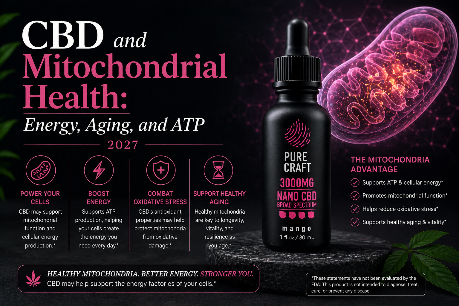 CBD and Mitochondrial Health: Energy, Aging, and ATP 2027 | PureCraft CBD