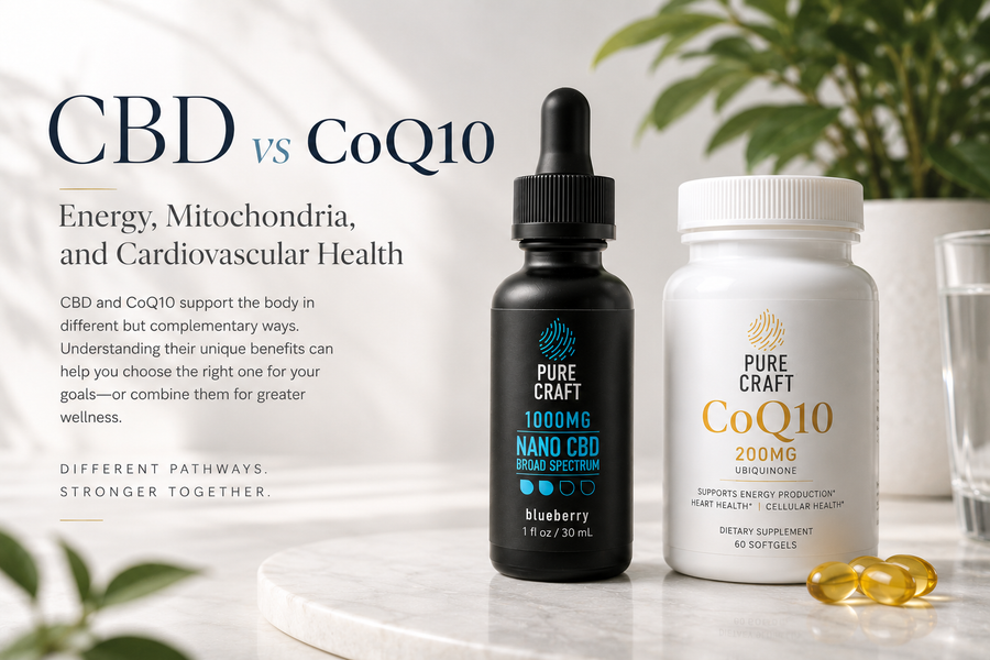 CBD vs CoQ10: Energy, Mitochondria, and Cardiovascular Health | PureCraft CBD