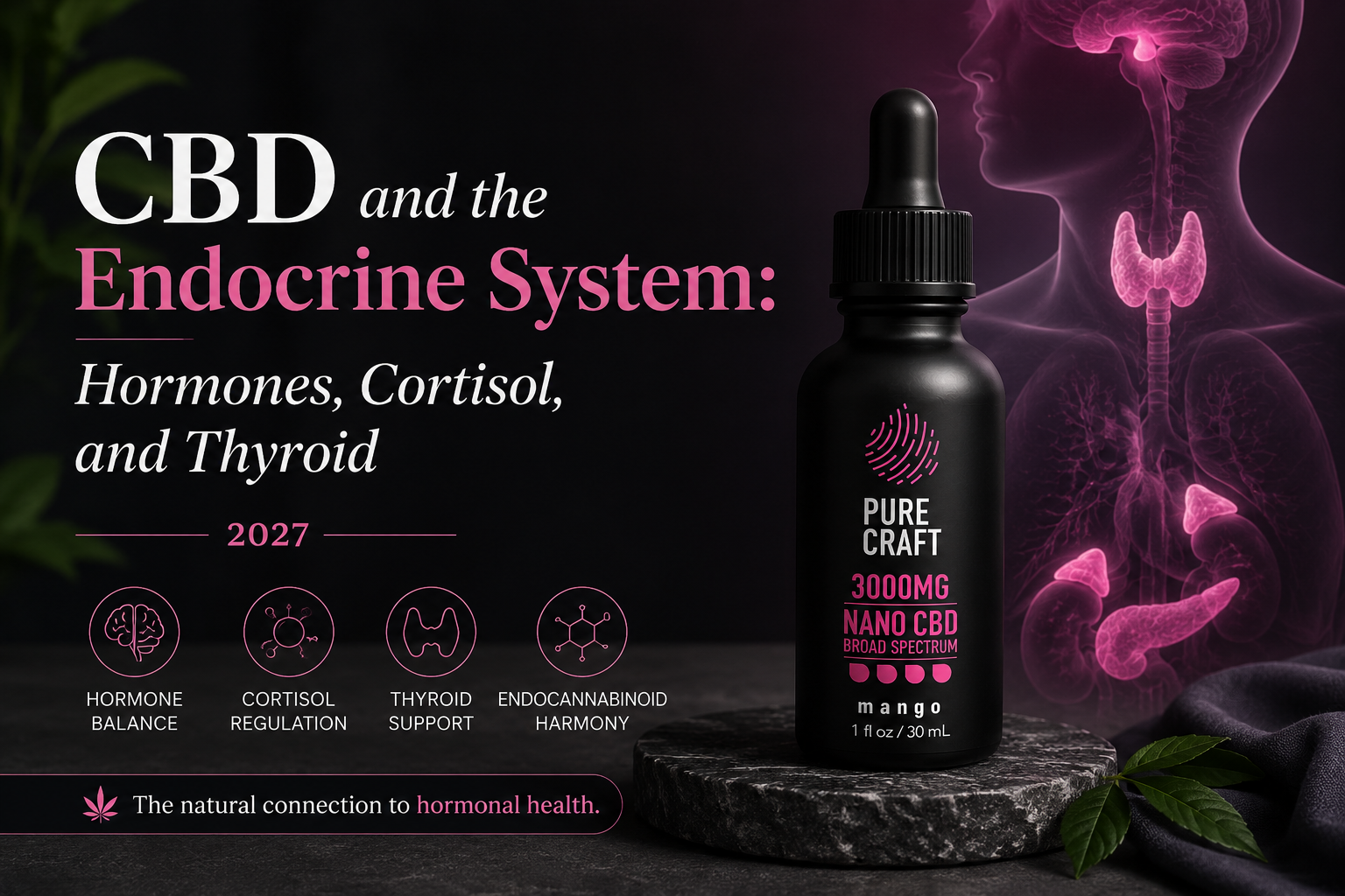 CBD and the Endocrine System: Hormones, Cortisol, and Thyroid 2027 | PureCraft CBD