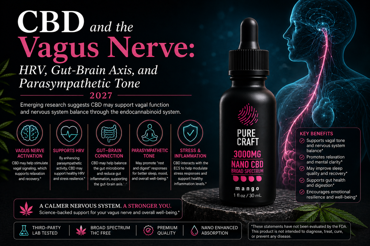 CBD and the Vagus Nerve: HRV, Gut-Brain Axis, and Parasympathetic Tone 2027 | PureCraft CBD