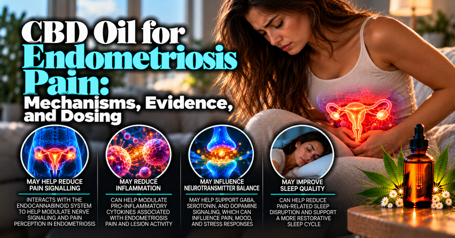 CBD Oil for Endometriosis Pain: Mechanisms, Evidence, and Dosing