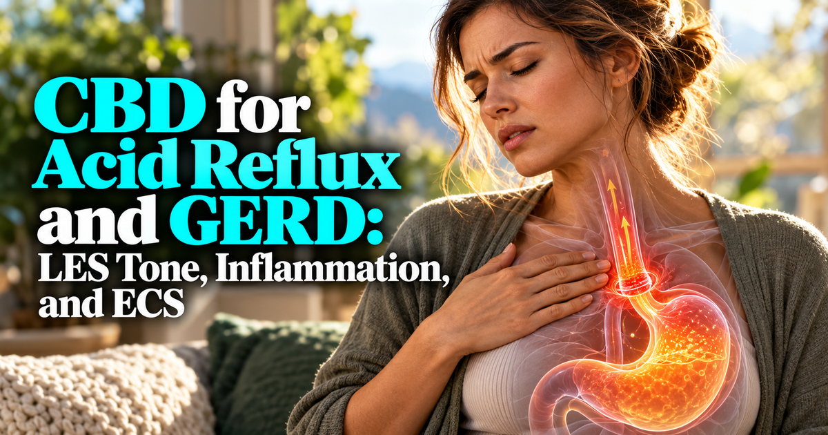 CBD for Acid Reflux and GERD: LES Tone, Inflammation, and ECS | PureCraft CBD
