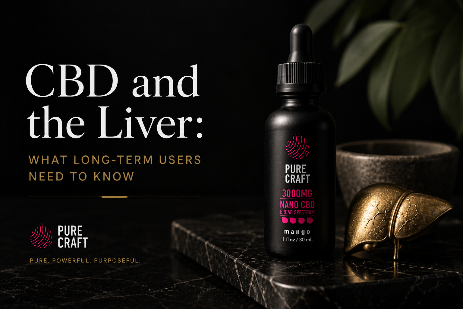 CBD and the Liver: What Long-Term Users Need to Know | PureCraft CBD