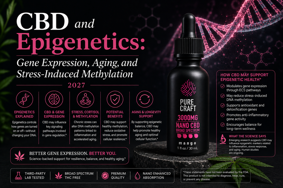 CBD and Epigenetics: Gene Expression, Aging, and Stress-Induced Methylation 2027 | PureCraft CBD