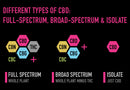 Different Types of CBD: Full-Spectrum, Broad-Spectrum & Isolate