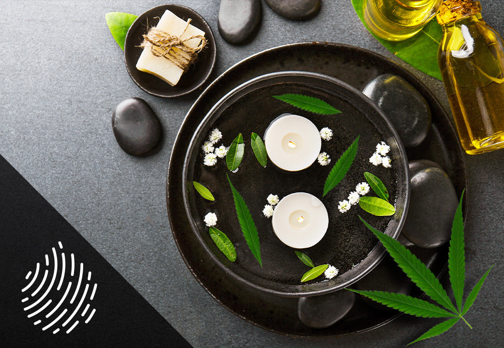 Incorporating THC into Your Wellness Routine